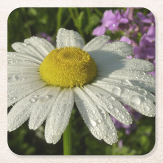 Posavasos Cuadrado De Papel Daisy and Summer Lilac Wildflower