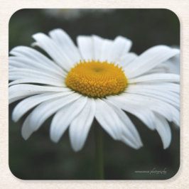 Posavasos Cuadrado De Papel Daisy - Cara arriba