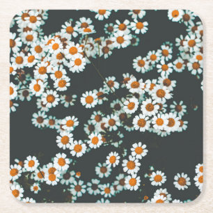 Posavasos Cuadrado De Papel Daisy Daisies Floral