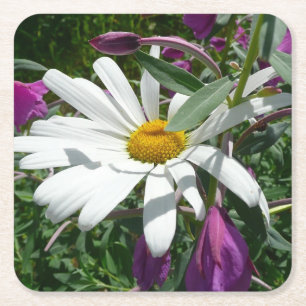 Posavasos Cuadrado De Papel Daisy y Fireweed Wildflower