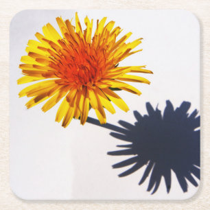 Posavasos Cuadrado De Papel Dandelion y coastercnm en la sombra