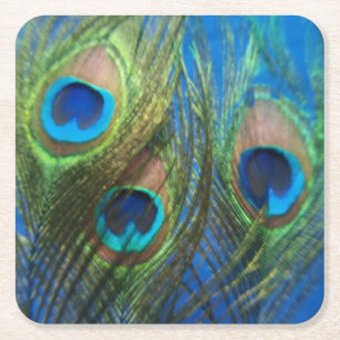 Posavasos Cuadrado De Papel De pescados del ojo todavía del pavo real vida