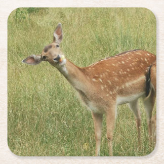 Posavasos Cuadrado De Papel Deer Coaster