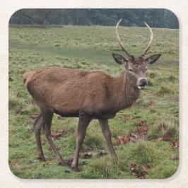 Posavasos Cuadrado De Papel Deer Coasters