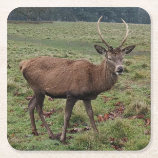 Posavasos Cuadrado De Papel Deer Coasters