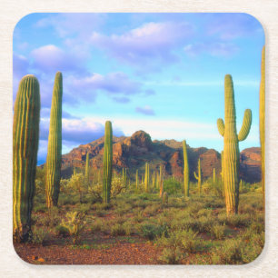 Posavasos Cuadrado De Papel Desierto en primavera