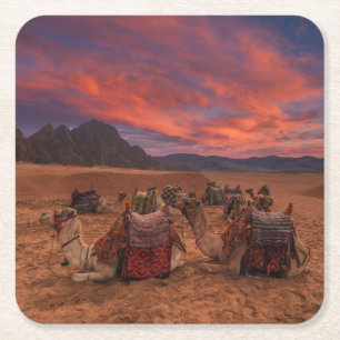 Posavasos Cuadrado De Papel Desiertos Camels Sinai Mountains Egipto