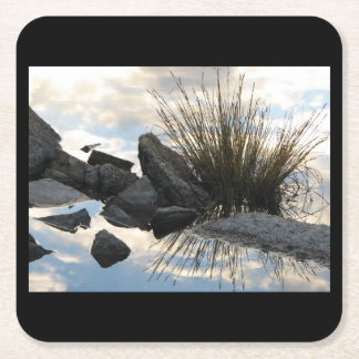 Posavasos Cuadrado De Papel Detalle del lago en los lagos Marie, sierras