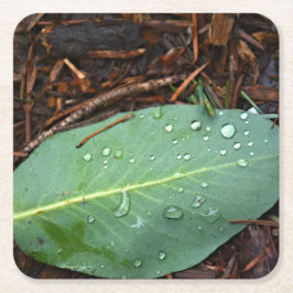 Posavasos Cuadrado De Papel Dew Dappling Leaf
