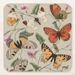Posavasos Cuadrado De Papel Dibujo de la Colección de Mariposas y Polillas de