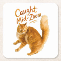 Diseño divertido de zoomies de gato naranja pillad