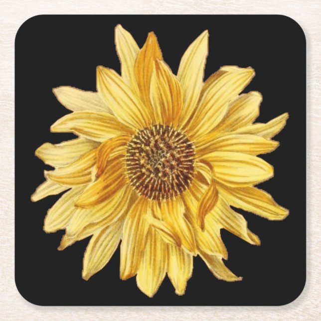 Posavasos Cuadrado De Papel Diseño floral, girasoles, fondo negro (Anverso)