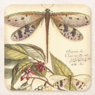 Posavasos Cuadrado De Papel Dragonflies con hojas y fruta