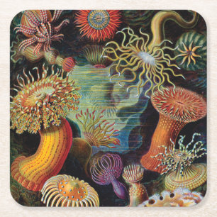 Posavasos Cuadrado De Papel el arte de la naturaleza de Ernst Haeckel