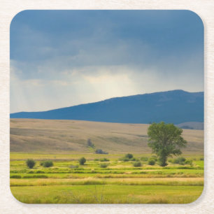 Posavasos Cuadrado De Papel El condado de Granite Montana
