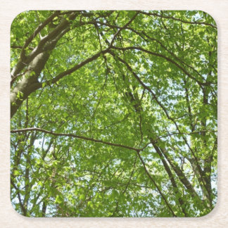 Posavasos Cuadrado De Papel El dosel de la primavera deja la naturaleza verde
