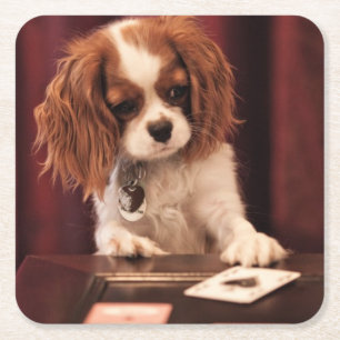 Posavasos Cuadrado De Papel El perrito juega a tarjetas