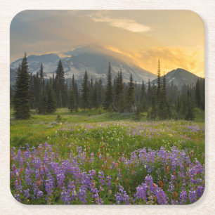 Posavasos Cuadrado De Papel El terreno de caza del indio Henry al amanecer