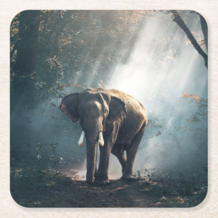 Posavasos Cuadrado De Papel Elefante asiático en un aclaramiento forestal ilum
