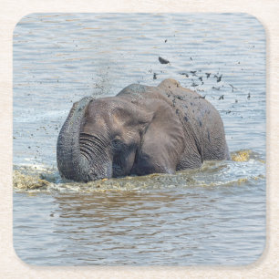 Posavasos Cuadrado De Papel Elefante de baño