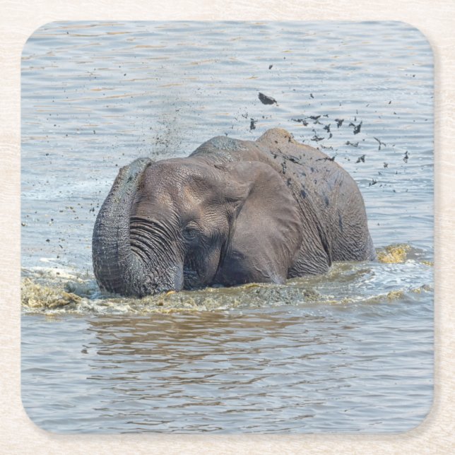 Posavasos Cuadrado De Papel Elefante de baño (Anverso)