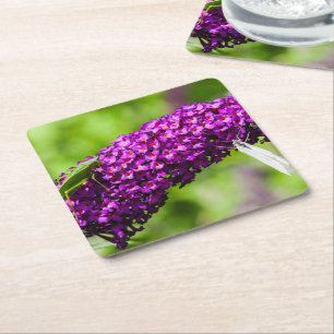 Posavasos Cuadrado De Papel energía katydid