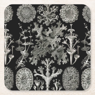 Posavasos Cuadrado De Papel Ernst Haeckel Lichens