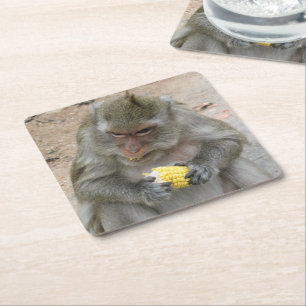 Posavasos Cuadrado De Papel ¡Es Mío!! ... Mono Macaco Tailandés Salvaje