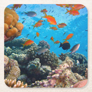 Posavasos Cuadrado De Papel Escena De Pescado Tropical Subacuático
