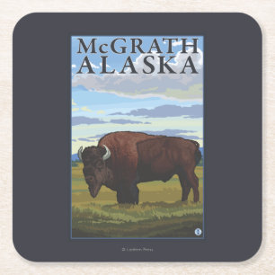Posavasos Cuadrado De Papel Escena del bisonte - McGrath, Alaska