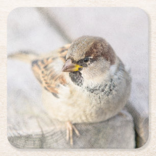 Posavasos Cuadrado De Papel Espuma - Después del Transatlántico