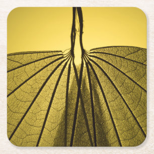 Posavasos Cuadrado De Papel Esqueleto de la hoja