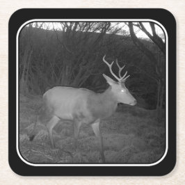 Posavasos Cuadrado De Papel Estadio de ciervos rojos en la montaña rusa de pap