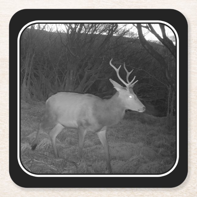 Posavasos Cuadrado De Papel Estadio de ciervos rojos en la montaña rusa de pap (Anverso)