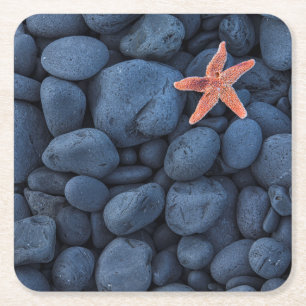 Posavasos Cuadrado De Papel Estrellas de mar en rocas negras a lo largo de la