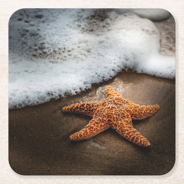 Posavasos Cuadrado De Papel Estrellas de mar solas en la playa (Anverso)