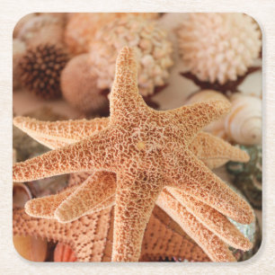 Posavasos Cuadrado De Papel Estrellas marinas secas vendidas como souvenirs