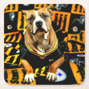 Posavasos Cuadrado De Papel Fanático de Pitbull Rescue Dog