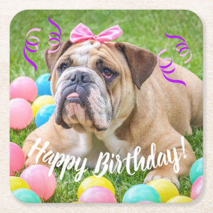 Posavasos Cuadrado De Papel Feliz cumpleaños del bulldog lindo
