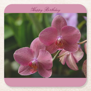 Posavasos Cuadrado De Papel Feliz cumpleaños, Pascua Orquídea Rosa