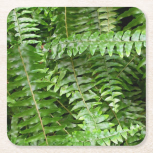 Posavasos Cuadrado De Papel Fern Fronds I Green Nature