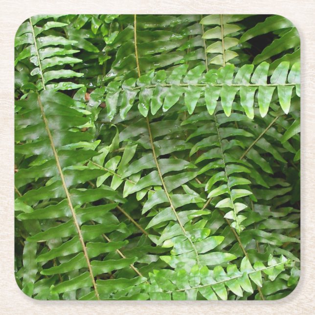 Posavasos Cuadrado De Papel Fern Fronds I Green Nature (Anverso)