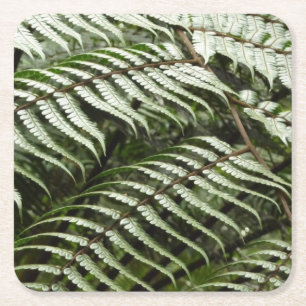 Posavasos Cuadrado De Papel Fern Fronds II Naturaleza verde oscura