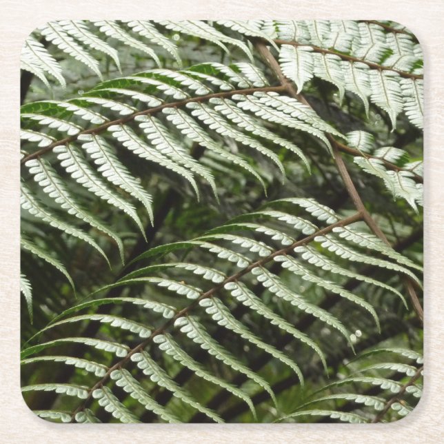 Posavasos Cuadrado De Papel Fern Fronds II Naturaleza verde oscura (Anverso)