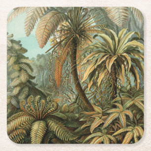 Posavasos Cuadrado De Papel Ferns Palm Tree Antique Botanica Ferns Art
