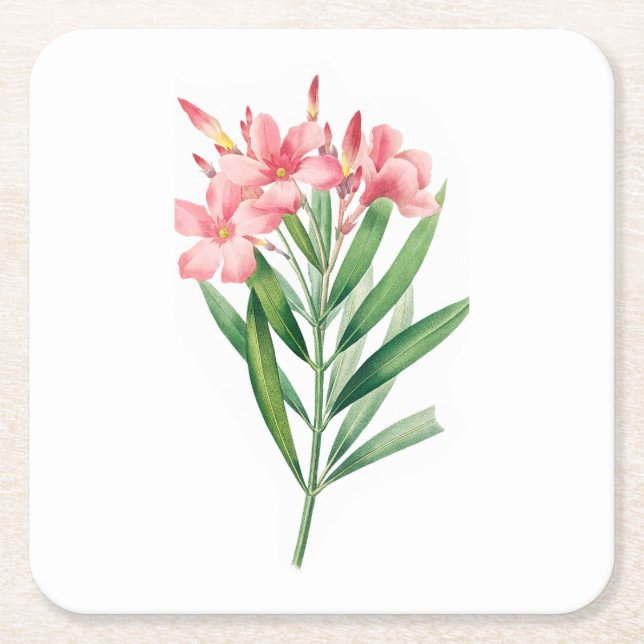 Posavasos Cuadrado De Papel Flor: A005 Oleander - (Anverso)