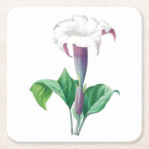 Posavasos Cuadrado De Papel Flor: A006 Thorn Apple -