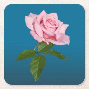 Posavasos Cuadrado De Papel Flor color de rosa rosada con los descensos de