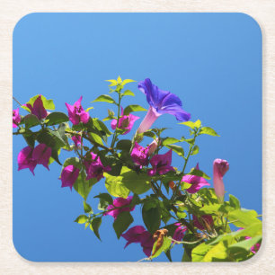 Posavasos Cuadrado De Papel Flor de Bougainvillea con cielo azul