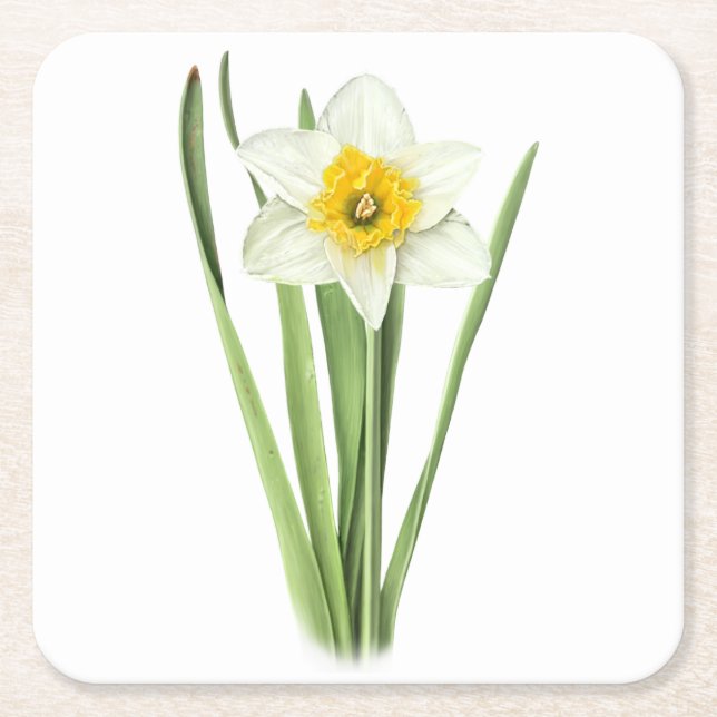 Posavasos Cuadrado De Papel Flor de Daffodil (Anverso)
